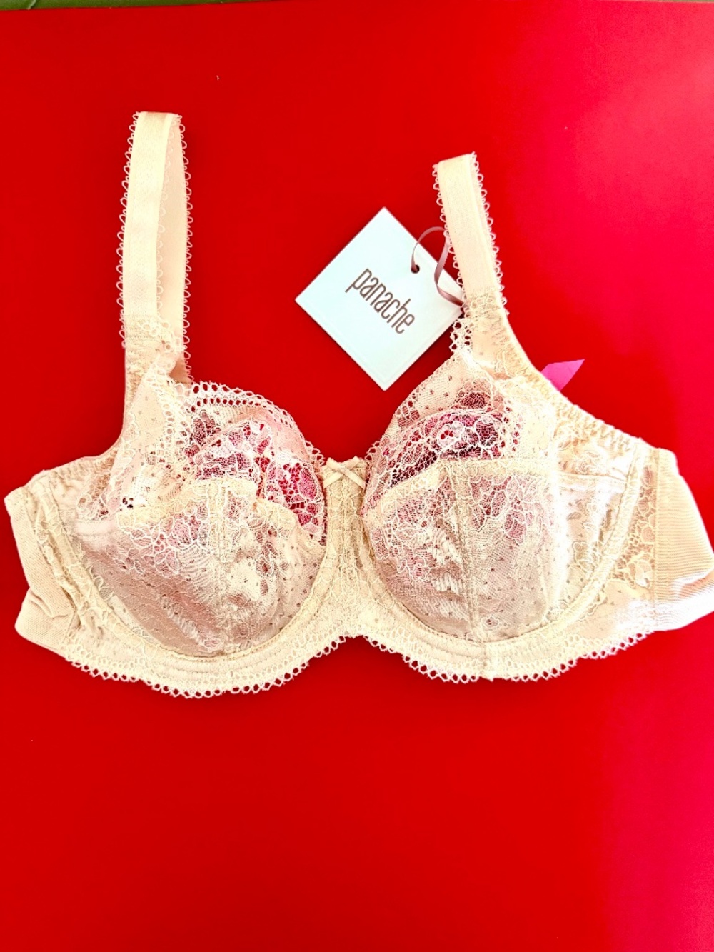 NWT Panache Bra
